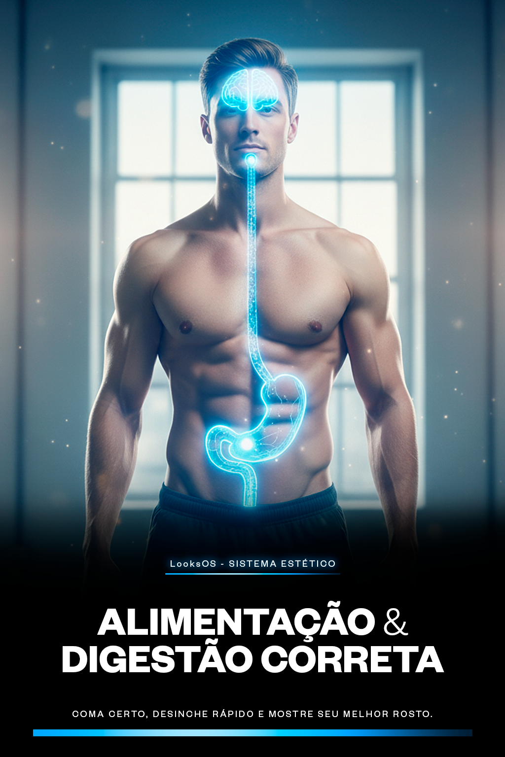 Sistema LooksOS - Bloco 6