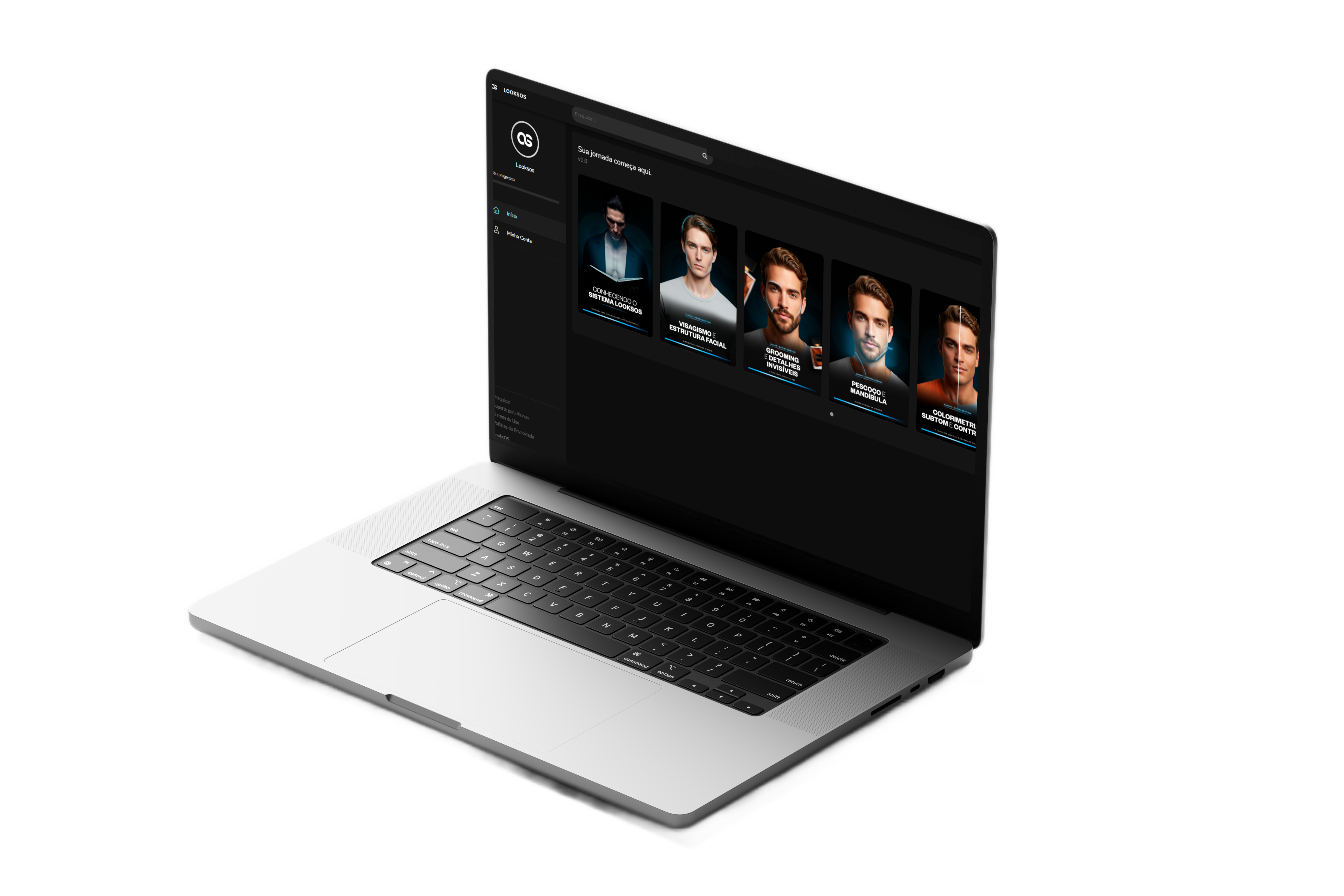 LooksOS System Preview